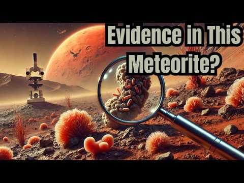 The MYSTERY of The ALLAN HILLS Meteorite 84001: Evidence of Life on MARS?